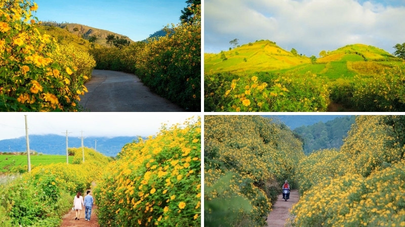 Núi Chư Đăng Ya (Gia Lai) Núi Chư Đăng Ya (Gia Lai)