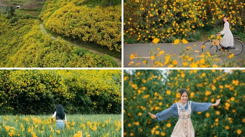 Đà Lạt (Lâm Đồng) Đà Lạt (Lâm Đồng)