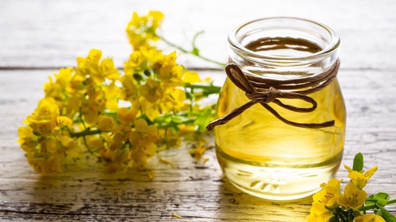 Những lưu ý khi sử dụng dầu hạt cải
