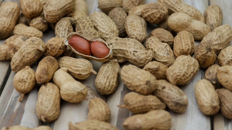 Lưu ý khi chọn mua đậu phộng