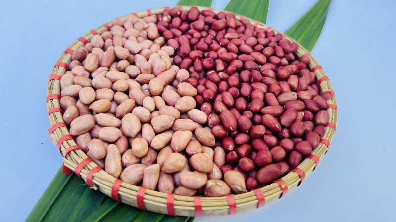 Về hình dáng và màu sắc của đậu phộng đỏ và đậu phộng trắng