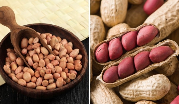 Đậu phộng đỏ hay đậu phộng trắng khi ăn sẽ ngon hơn? Khám phá ngay!
