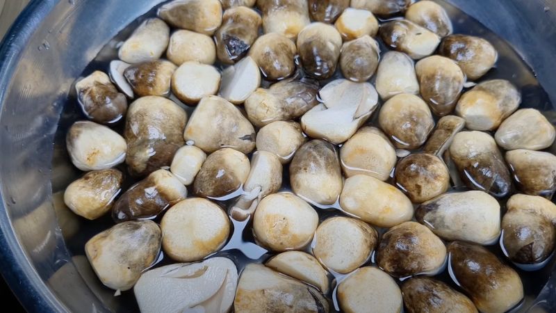 Sơ chế nấm rơm