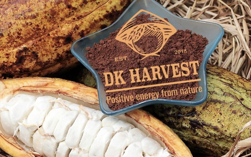 Bột cacao nguyên chất DK Harvest