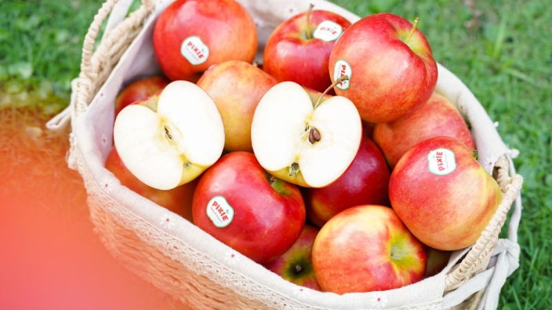 Giới thiệu chung về quả táo Pixie Pháp