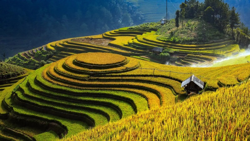 Tổng quan về đồi Móng Ngựa Tổng quan về đồi Móng Ngựa