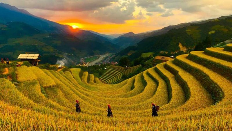 Di chuyển đến Đồi Móng Ngựa - Mù Cang Chải thế nào? Di chuyển đến Đồi Móng Ngựa - Mù Cang Chải thế nào?