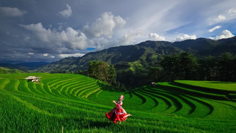 ếu bạn yêu thích màu xanh tươi mát, hãy đến Đồi Móng Ngựa vào đầu mùa lúa ếu bạn yêu thích màu xanh tươi mát, hãy đến Đồi Móng Ngựa vào đầu mùa lúa