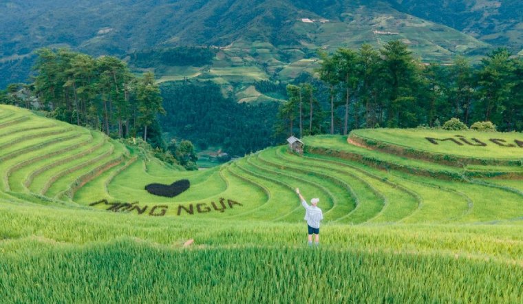 Du lịch đồi Móng Ngựa - Mù Cang Chải ngắm ruộng bậc thang cực đẹp