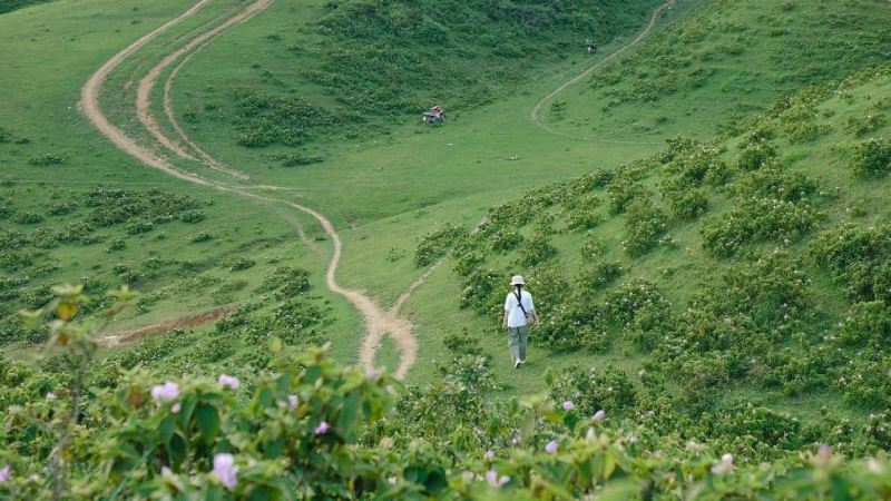 Thảo nguyên Sam Chiêm ở đâu?