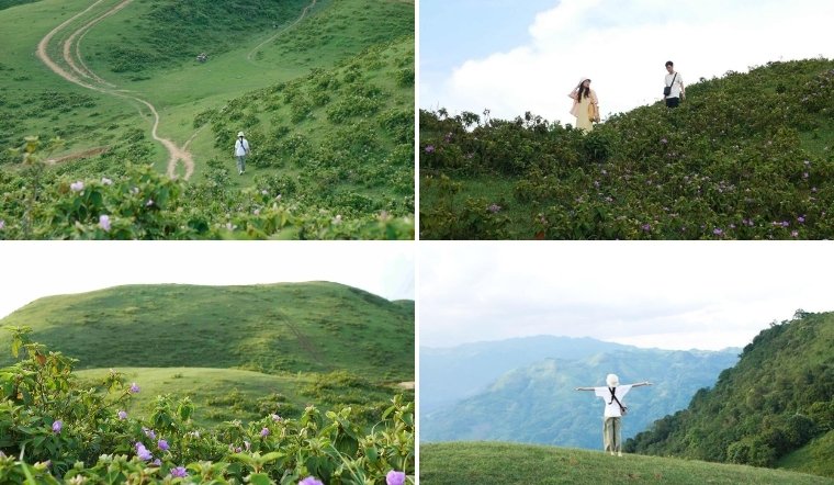 Lên Bắc Kạn, ngắm thảo nguyên Sam Chiêm giữa núi rừng trùng điệp