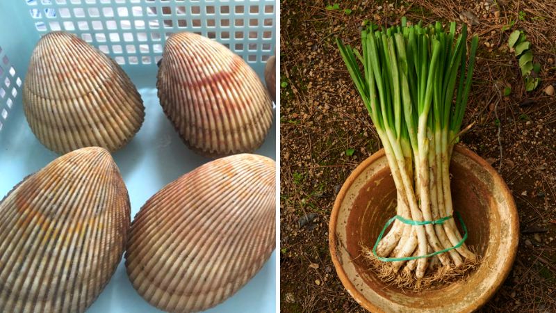 Nguyên liệu làm món sò dương nướng mỡ hành