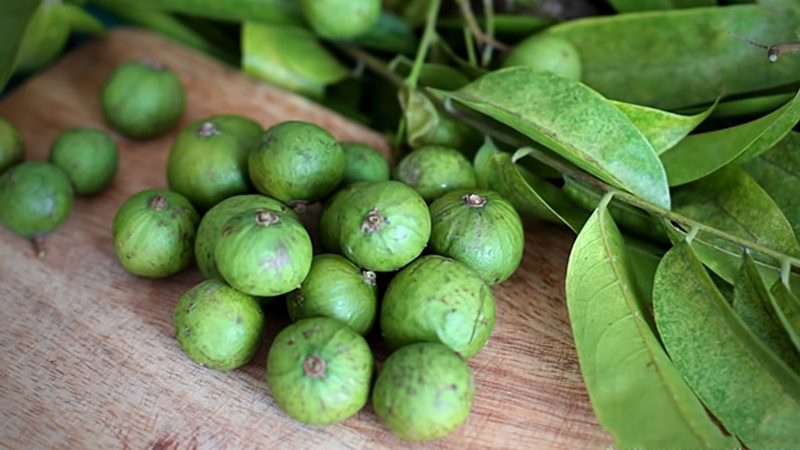 Những lưu ý khi bà bầu ăn sấu trong thai kỳ