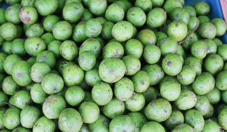 Bà bầu ăn quả sấu có tốt không? Những lưu ý cần biết