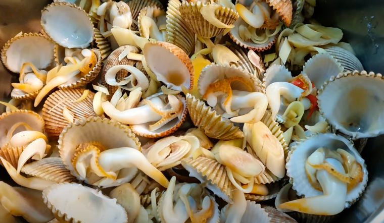 Cách làm sò dương hấp sả thơm ngon ngất ngây tại nhà