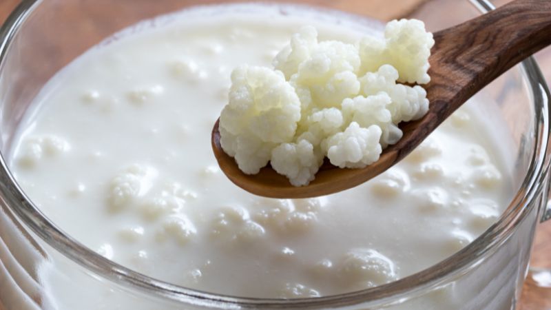 Sữa chua kefir