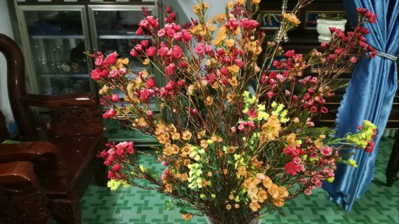 Tổng hợp các cách cắm hoa thanh liễu ngày Tết đẹp nhất Tổng hợp các cách cắm hoa thanh liễu ngày Tết đẹp nhất