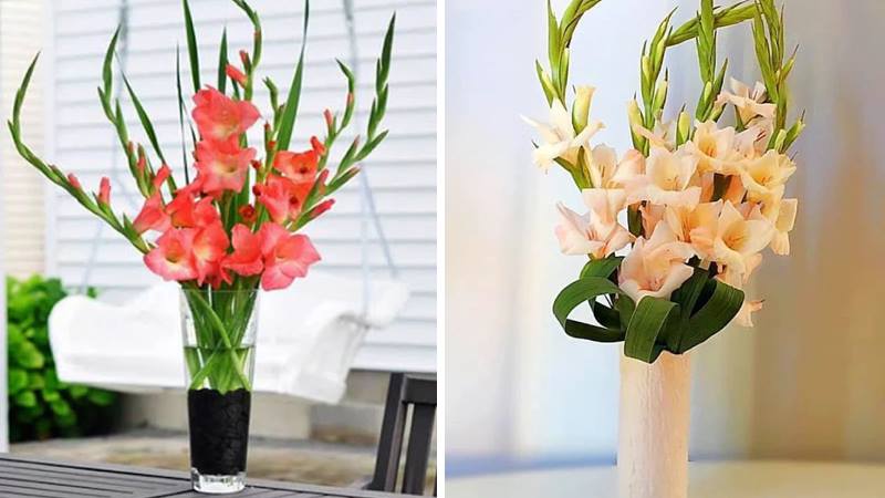 Cách cắm hoa lay ơn bình cao