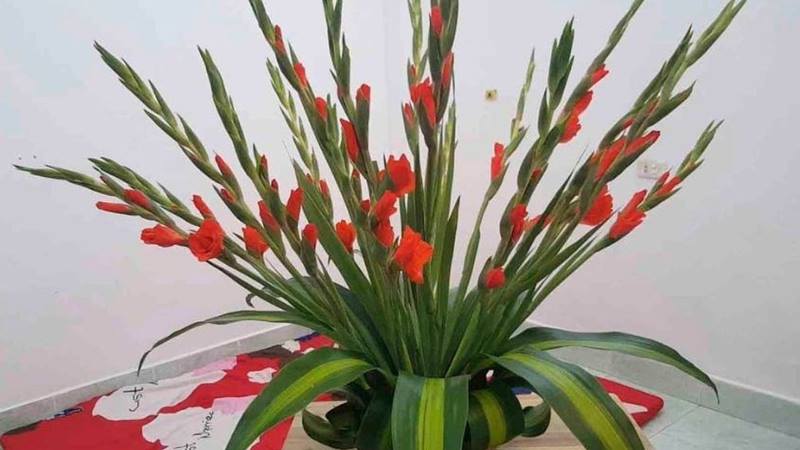 Hướng dẫn mẹ cách cắm hoa lay ơn với xốp 1 mặt