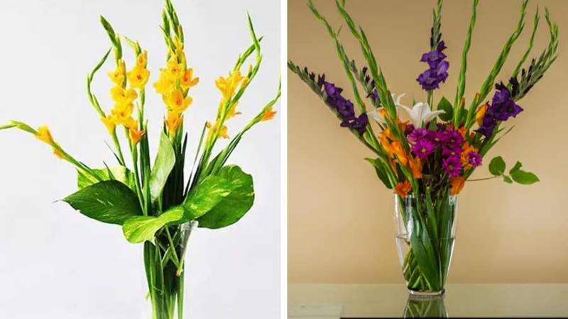 Cách cắm hoa lay ơn với lá trầu không
