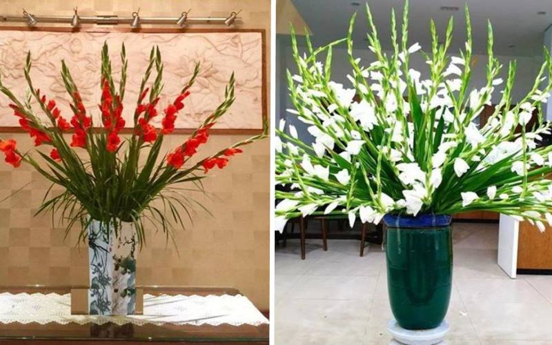 Cách cắm hoa lay ơn trưng phòng khách