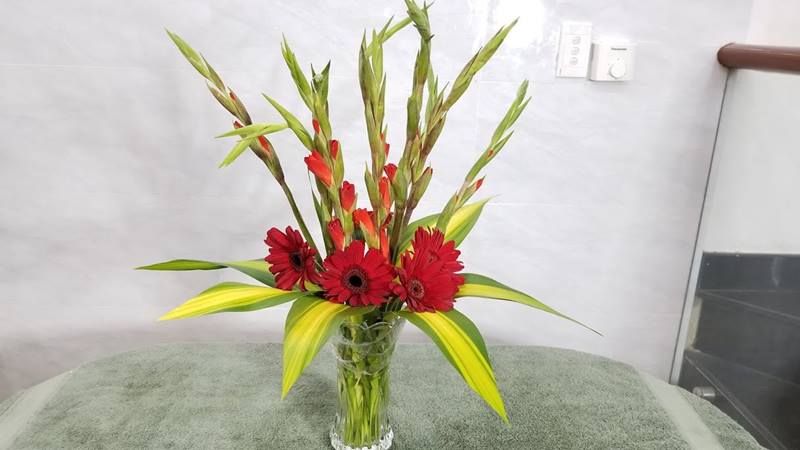 Cách cắm hoa lay ơn với hoa đồng tiền