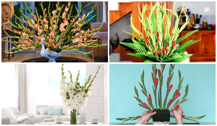 Cách cắm hoa lay ơn ngày Tết đẹp lung linh, đón tài lộc về nhà
