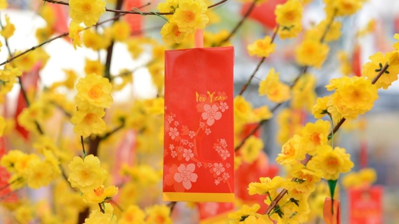 Lời chúc Tết nhân viên ý nghĩa nhất