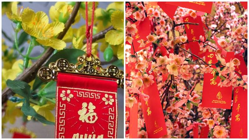 Cánh mai, cánh đào mang đến niềm vui, hy vọng mới.