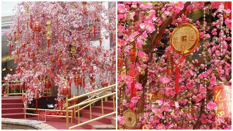 Đào, mai khoe sắc chúc mừng một năm mới.