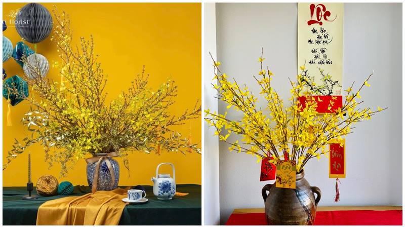 Mai vàng nở rộ, Tết đến xuân về.