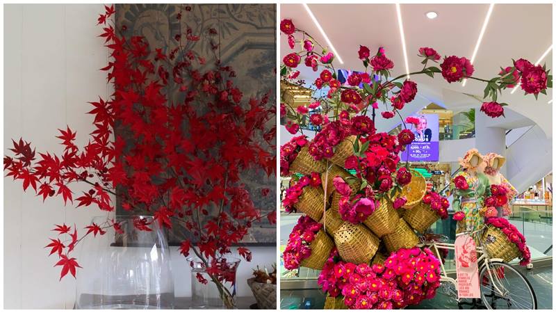 Tết này, hoa tươi khoe sắc, mang không khí mùa xuân về.