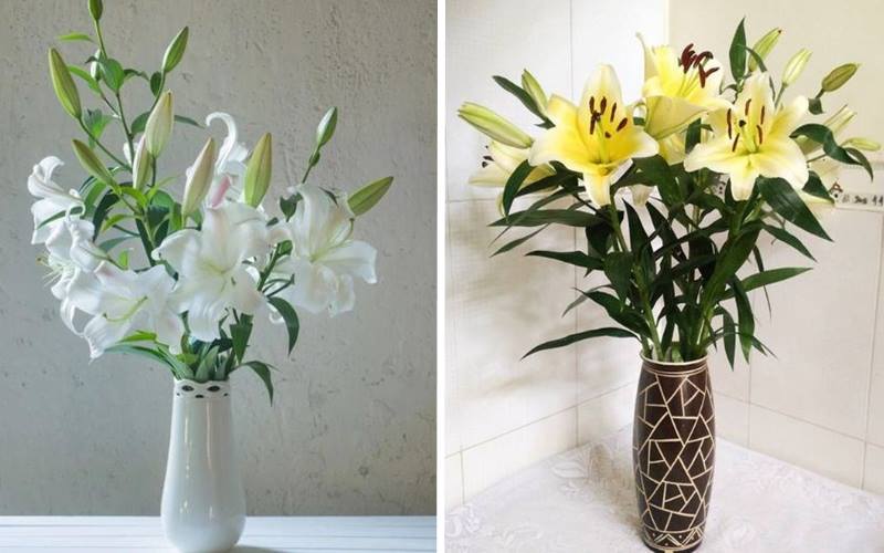 Cách cắm hoa ly ngày Tết đơn giản với 5 cành đẹp mắt