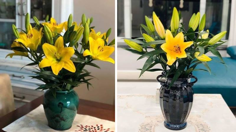 Cách cắm hoa ly với bình sứ tròn