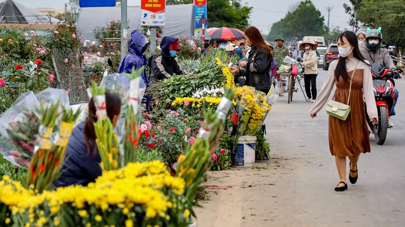Chợ hoa Mê Linh Chợ hoa Mê Linh