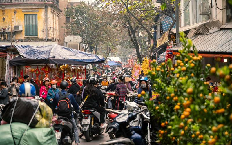 Chợ hoa Tết Hàng Lược Chợ hoa Tết Hàng Lược