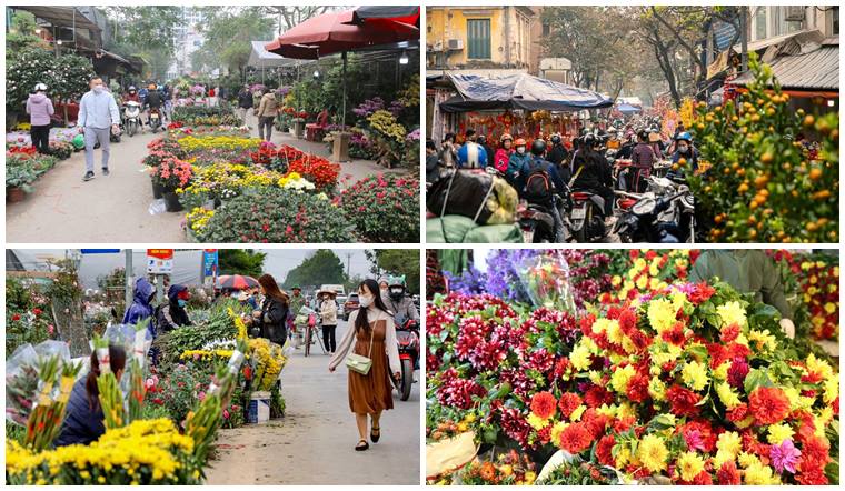 Danh sách các địa điểm bán hoa Tết ở Hà Nội đẹp và uy tín nhất 