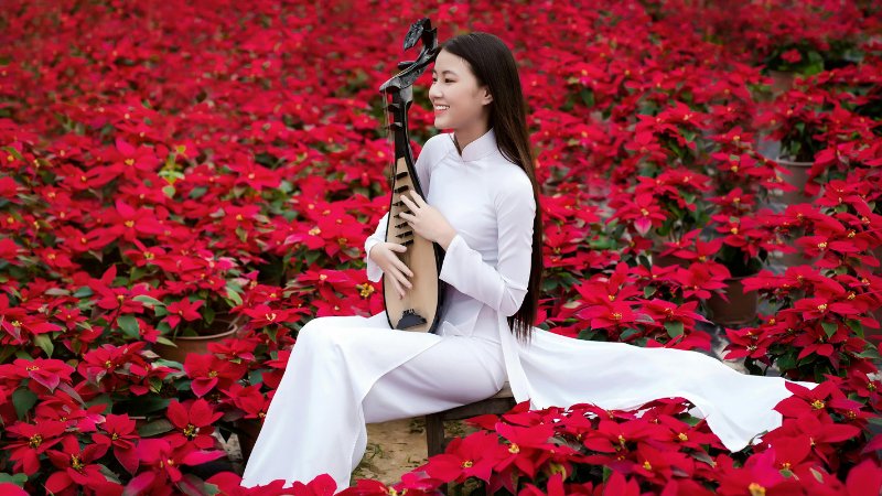 Thời tiết ngày Tết Nguyên đán 2025 miền Nam nắng nhẹ, mát mẻ