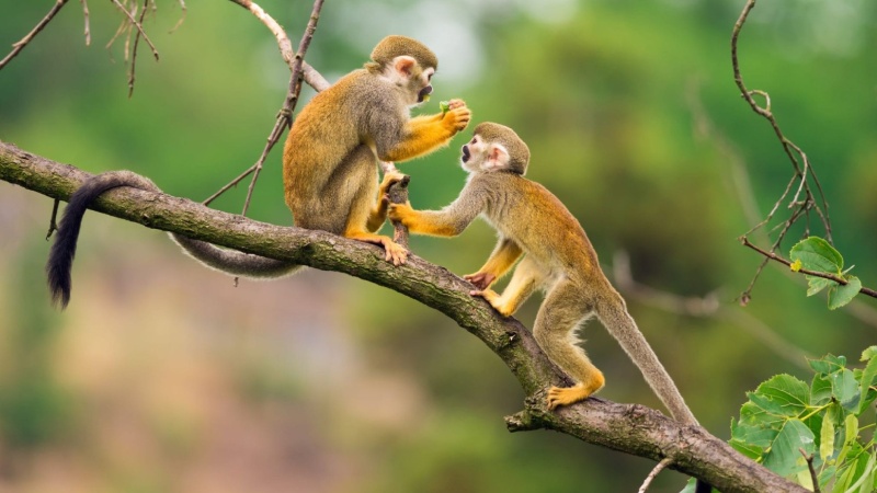 Phân tích về tình duyên, các mối quan hệ