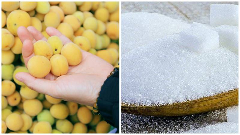 Nguyên liệu làm món mứt mơ phết bánh mì