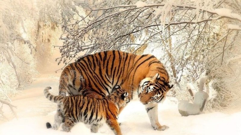 Sinh năm 2010 là tuổi gì?