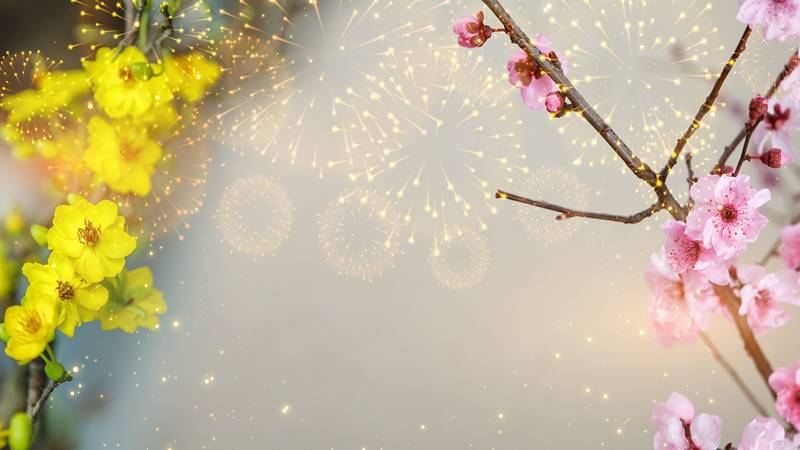 Tết đến, hoa nở, niềm vui lan tỏa khắp nơi