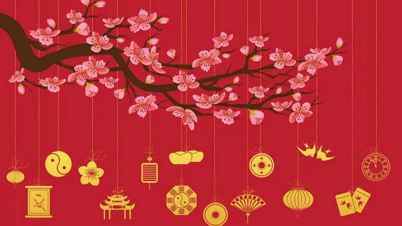 Mang không khí xuân về nhà với hoa đào, hoa mai.