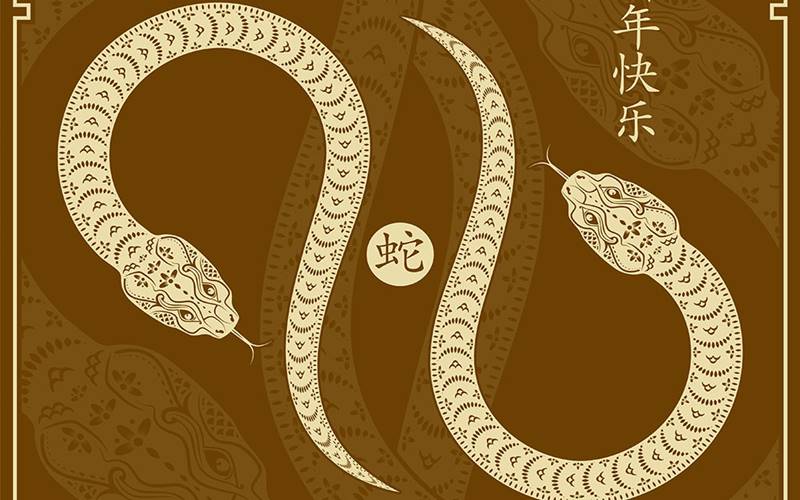 Năm con rắn hứa hẹn những cơ hội mới đầy bất ngờ.