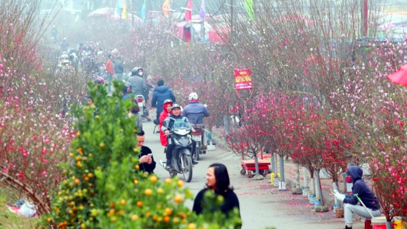 Thời tiết ngày Tết miền Bắc Thời tiết ngày Tết miền Bắc