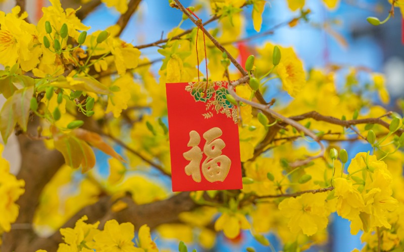 Những điều cần kiêng kỵ trong ngày Tết miền Nam Những điều cần kiêng kỵ trong ngày Tết miền Nam