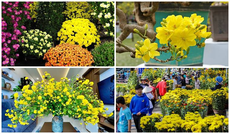 Chơi hoa dịp tết: Ý nghĩa, các loại hoa đẹp & cách chăm sóc