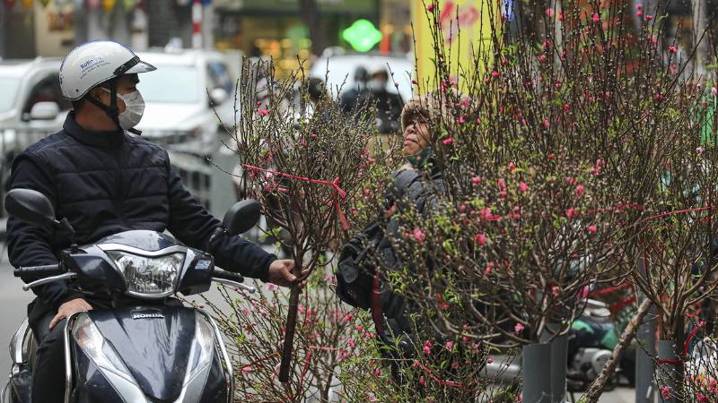 Lựa mua đào ở chợ Tết