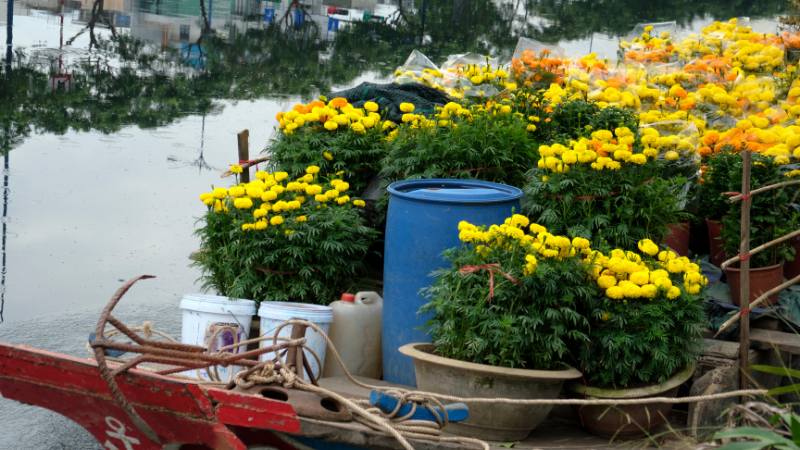 Ghe chở hoa bán Tết