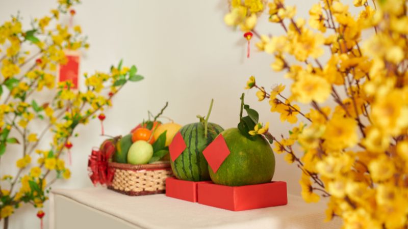 Lời chúc Tết các linh mục, tu sĩ